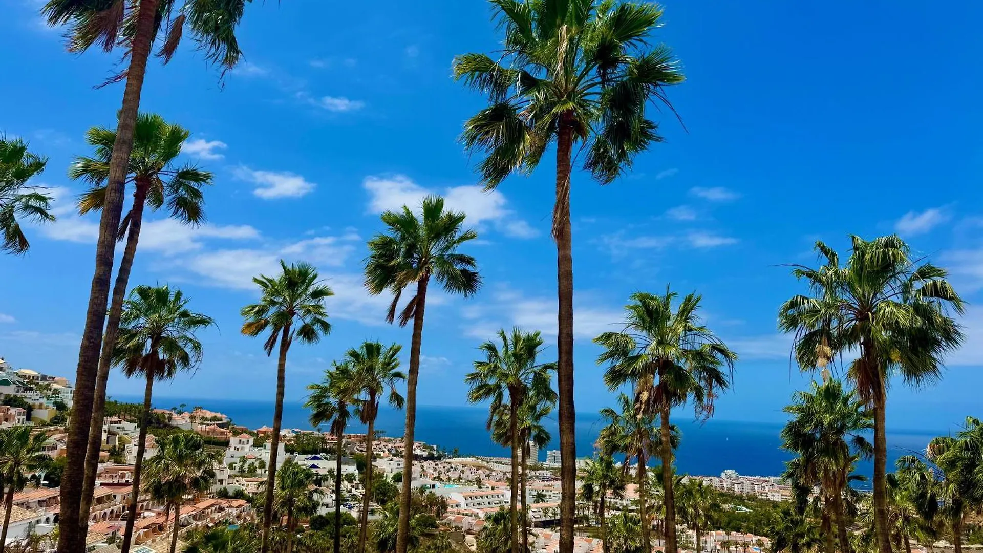 Stunning Apartments With Pool Tenerife Costa Adeje